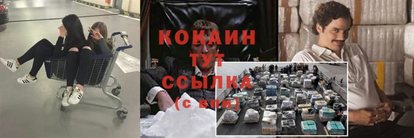тгк Алзамай