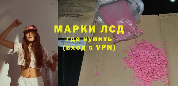 хмурый Абаза