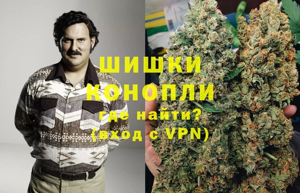 ешки Алексин