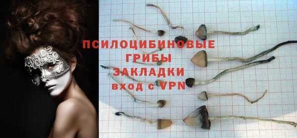 тгк Алзамай