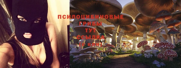 тгк Алзамай