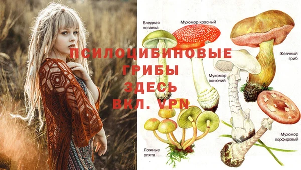 тгк Алзамай